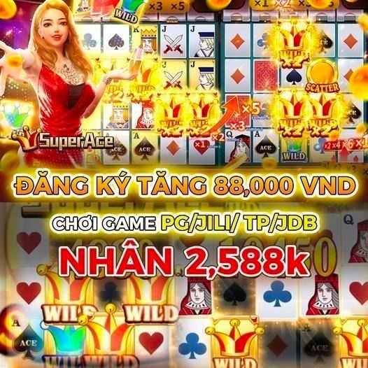 wibo88